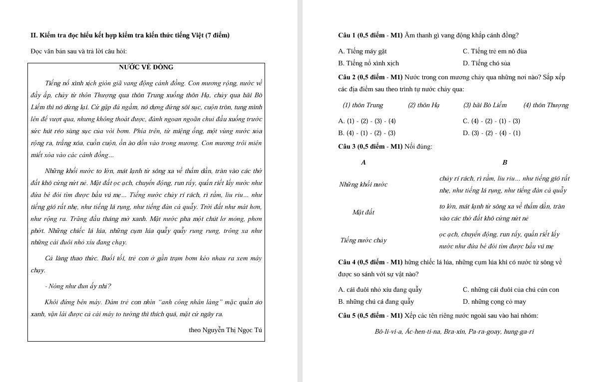 Đề thi cuối học kì 2 môn Tiếng Việt lớp 5 Chân trời sáng tạo