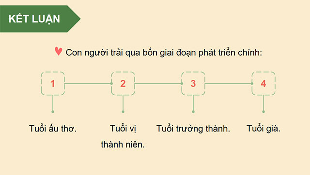 PowerPoint Khoa học 5 Các giai đoạn phát triển của con người