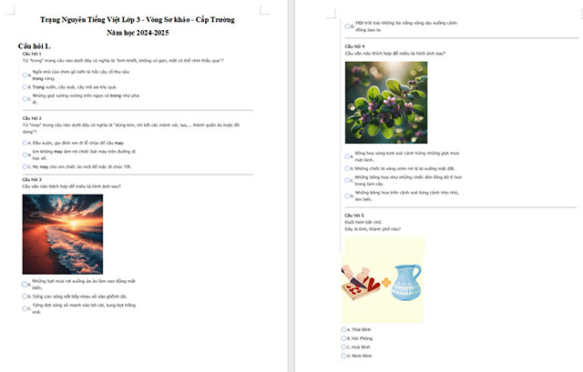 Đề thi Trạng nguyên Tiếng Việt lớp 3 năm 2024 - 2025 cấp trường