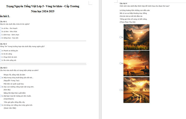 Đề thi Trạng nguyên Tiếng Việt lớp 5 năm 2024 - 2025 cấp trường