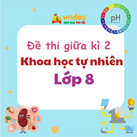Đề thi giữa kì 2 lớp 8 môn Khoa học tự nhiên sách KNTT theo CV 7991