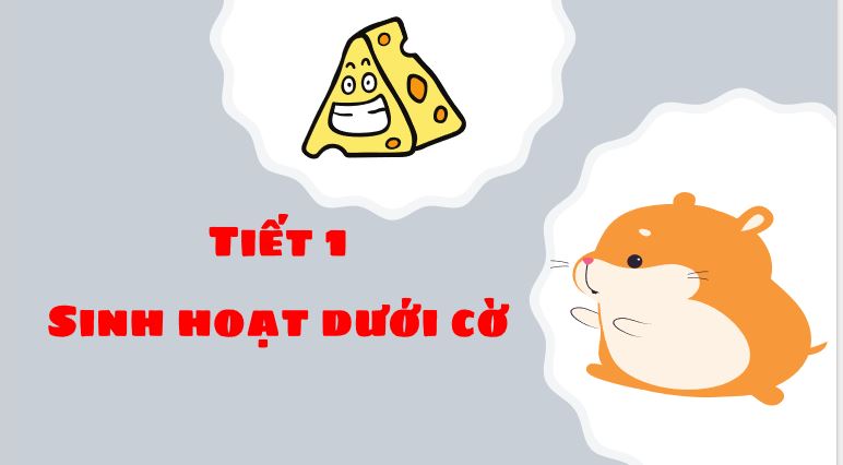 PowerPoint Hoạt động trải nghiệm 3 Tuần 4