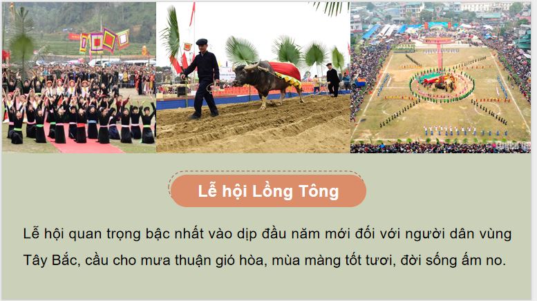 Chủ đề: Tham gia hoạt động xã hội tuần 25