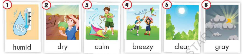 Tiếng Anh lớp 5 unit 8 lesson 2 i-Learn Smart Start