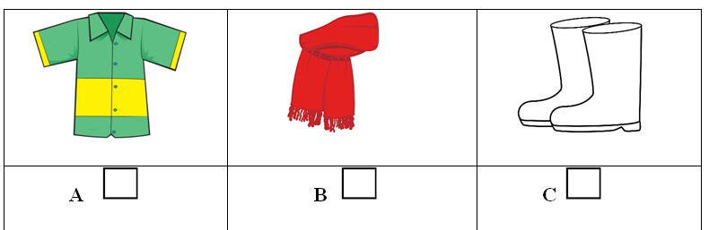 Đề thi học kì 2 tiếng Anh lớp 3 Family and Friends số 1