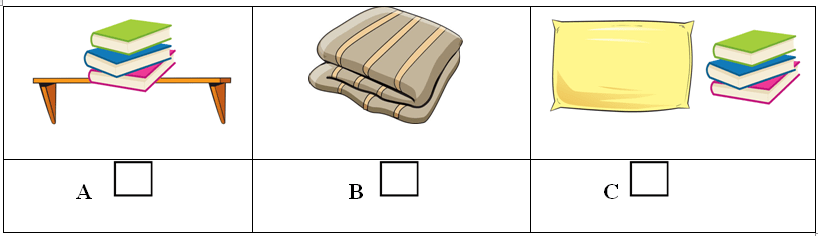 Đề thi học kì 2 tiếng Anh lớp 3 Family and Friends số 1