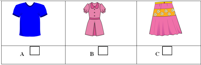 Đề thi học kì 2 tiếng Anh lớp 3 Family and Friends số 2