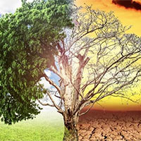 Giáo án Ngữ văn 9 Bài 8: Biến đổi khí hậu mối đe dọa sự tồn vong của hành tinh chúng ta