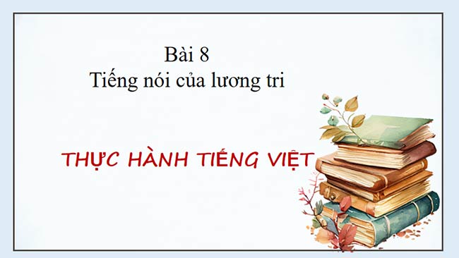 Ngữ văn 9 Bài 8 Thực hành tiếng Việt