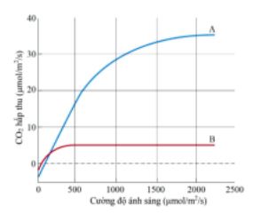Đề thi thử THPT Quốc gia môn Sinh