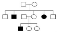 Đề thi thử THPT Quốc gia môn Sinh