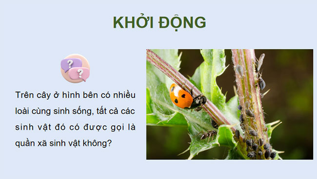 Giáo án PowerPoint Sinh học 12 Bài 26