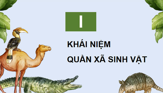 Giáo án PowerPoint Sinh học 12 Bài 26