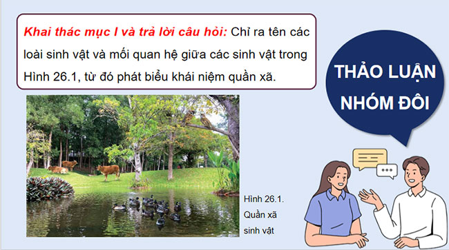 Giáo án PowerPoint Sinh học 12 Bài 26