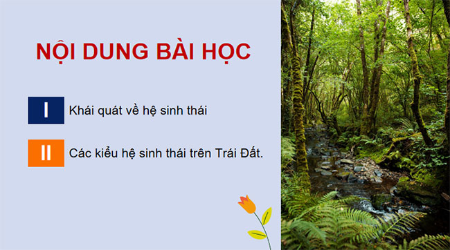 Giáo án PowerPoint Sinh học 12 Bài 28