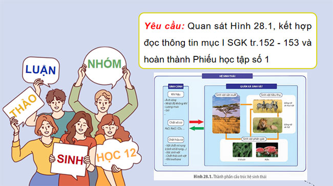 Giáo án PowerPoint Sinh học 12 Bài 28