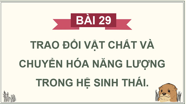 Giáo án PowerPoint Sinh học 12 Bài 29