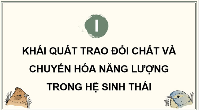 Giáo án PowerPoint Sinh học 12 Bài 29