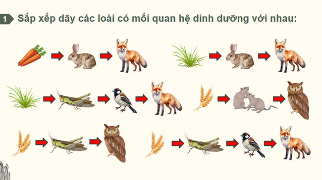 Giáo án PowerPoint Sinh học 12 Bài 29