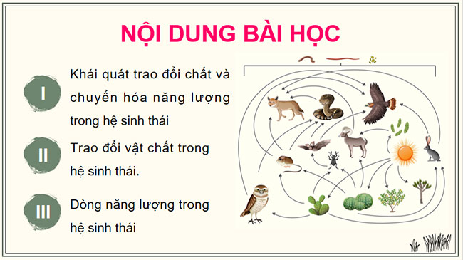 Giáo án PowerPoint Sinh học 12 Bài 29