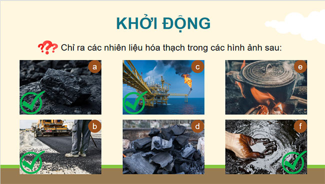 Giáo án PowerPoint Sinh học 12 Bài 31