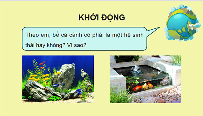 Giáo án PowerPoint Sinh học 12 Bài 32