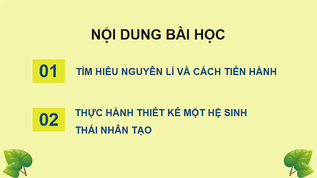 Giáo án PowerPoint Sinh học 12 Bài 32