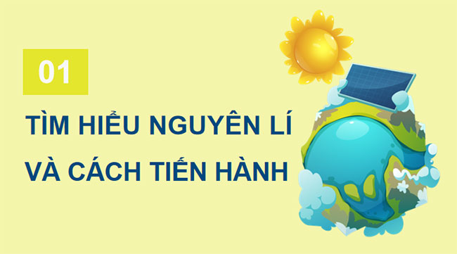 Giáo án PowerPoint Sinh học 12 Bài 32