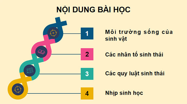  PowerPoint Sinh học 12 Bài 23 Kết nối