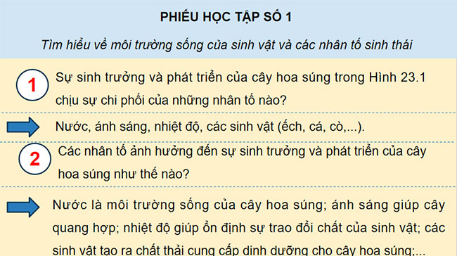  PowerPoint Sinh học 12 Bài 23 Kết nối