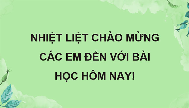 PowerPoint Sinh học 12 Bài 33 Kết nối tri thức