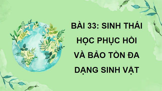 PowerPoint Sinh học 12 Bài 33 Kết nối tri thức