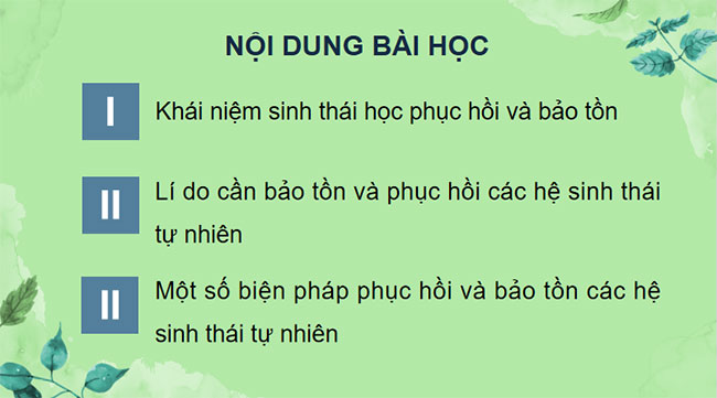 PowerPoint Sinh học 12 Bài 33 Kết nối tri thức