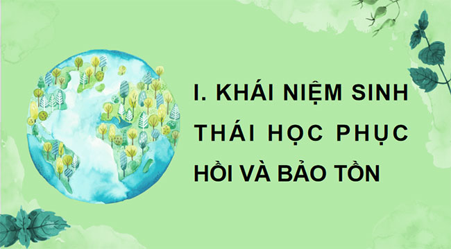 PowerPoint Sinh học 12 Bài 33 Kết nối tri thức