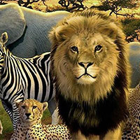 Giáo án Sinh học 12 Bài 23: Môi trường và các nhân tố sinh thái