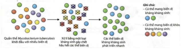 Đề thi thử THPT Quốc gia môn Sinh - Đề 2