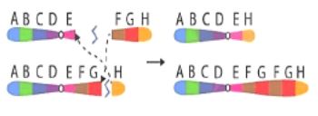 Đề thi thử THPT Quốc gia môn Sinh - Đề 2