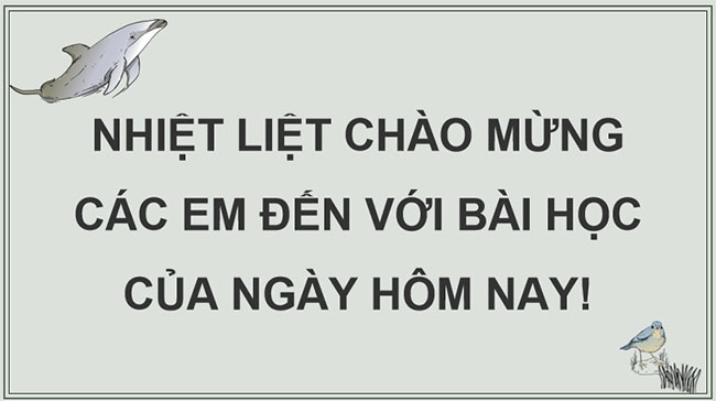 PowerPoint KHTN 9 Bài 46 Chân trời sáng tạo