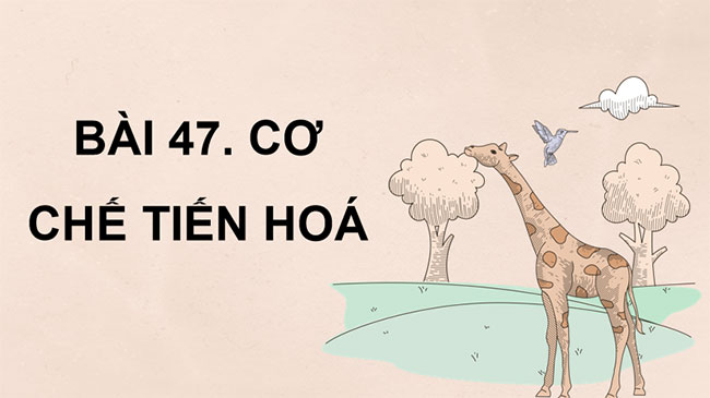 Giáo án KHTN 9 Bài 47 Chân trời sáng tạo