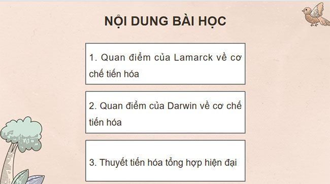 Giáo án KHTN 9 Bài 47 Chân trời sáng tạo