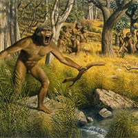 Giáo án Khoa học tự nhiên 9: Ôn tập chủ đề 12