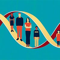 Giáo án Khoa học tự nhiên 9: Ôn tập chủ đề 11