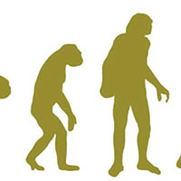 Giáo án Khoa học tự nhiên 9 Bài 46: Khái niệm về tiến hoá và các hình thức chọn lọc