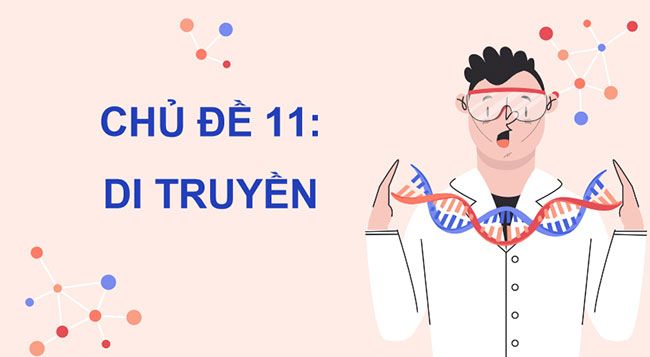 PowerPoint KHTN 9 Ôn tập chủ đề 11: Di truyền