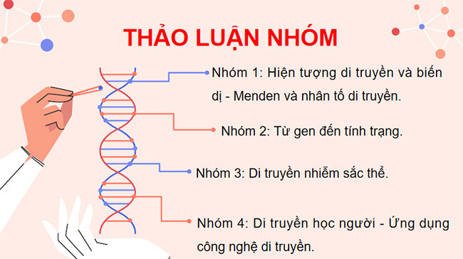 PowerPoint KHTN 9 Ôn tập chủ đề 11: Di truyền