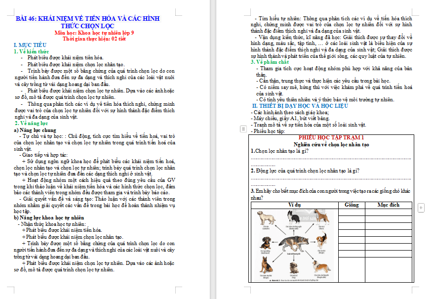 PowerPoint KHTN 9 Bài 46 Chân trời sáng tạo