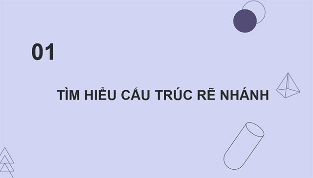PowerPoint Tin học 5 Cấu trúc rẽ nhánh