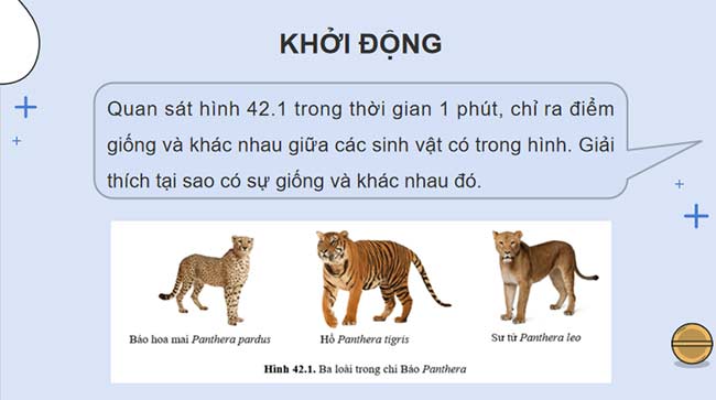 PowerPoint KHTN 9 Bài 42 Cánh diều
