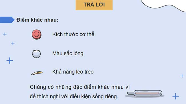 PowerPoint KHTN 9 Bài 42 Cánh diều