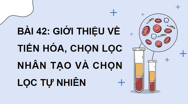 PowerPoint KHTN 9 Bài 42 Cánh diều